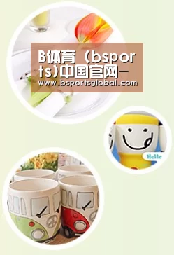 关于bsport体育