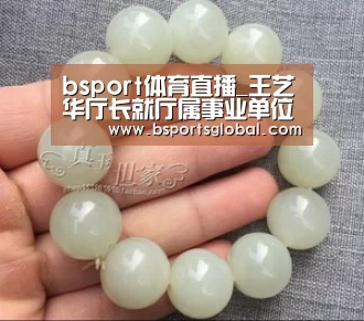 bsport体育直播_王艺华厅长就厅属事业单位分类改革等工作与省编办主要领导进行沟通(图1) bsport体育直播