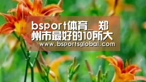 bsport体育